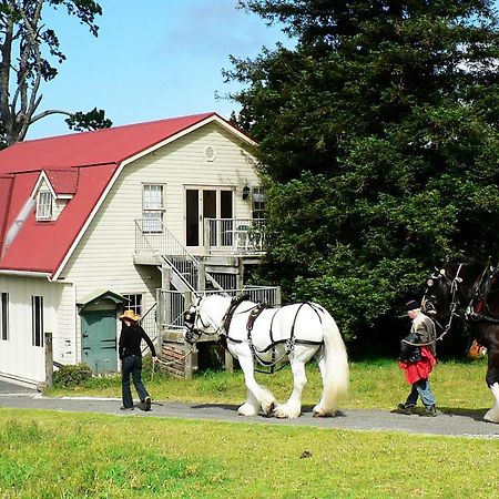 ケリケリ The Carriage House-Bay Of Islandsヴィラ エクステリア 写真
